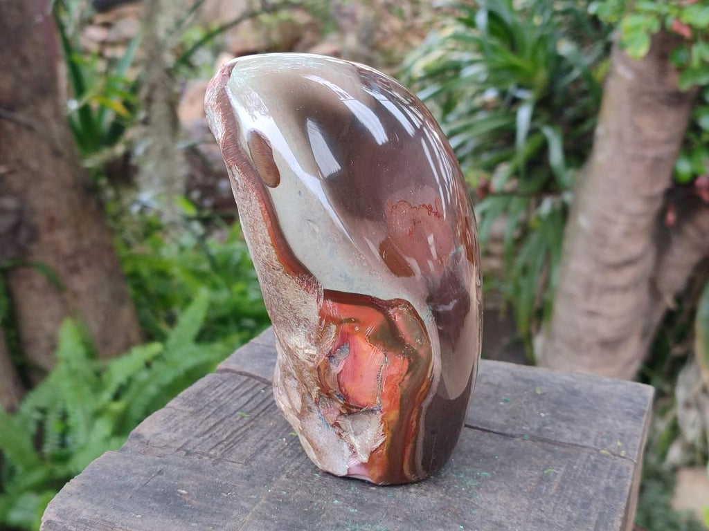 Polished One Side Large Polychrome Jasper Standing Display Piece x 1 From NW Coast, Madagascar - Toprock Gemstones and Minerals 