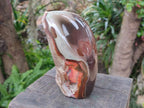 Polished One Side Large Polychrome Jasper Standing Display Piece x 1 From NW Coast, Madagascar - Toprock Gemstones and Minerals 
