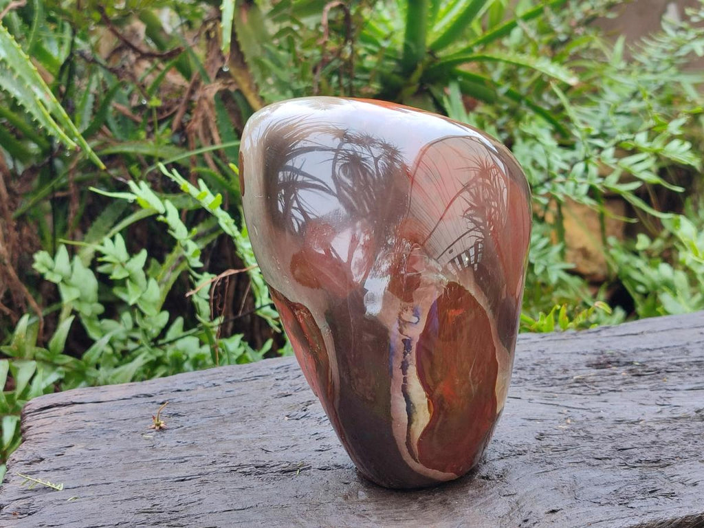 Polished One Side Large Polychrome Jasper Standing Display Piece x 1 From NW Coast, Madagascar - Toprock Gemstones and Minerals 