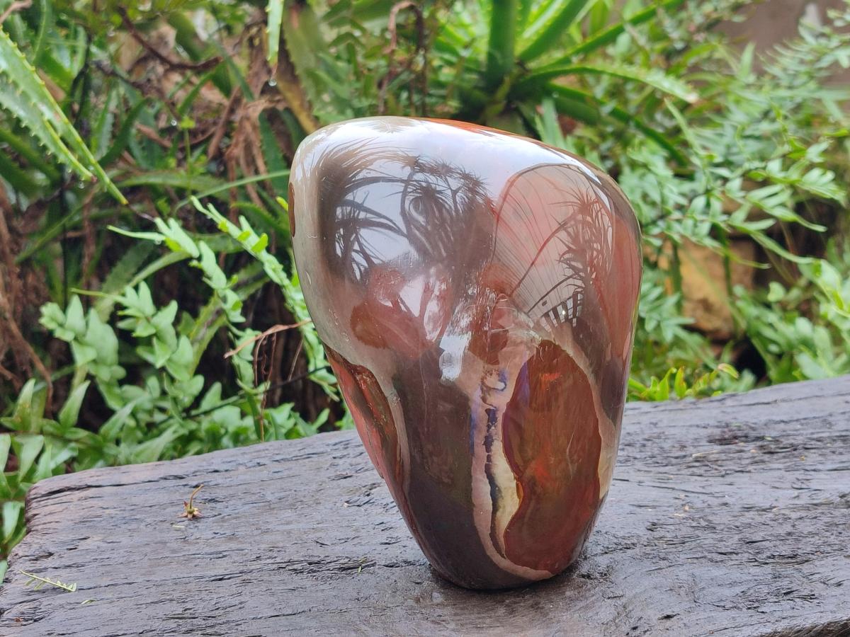 Polished One Side Large Polychrome Jasper Standing Display Piece x 1 From NW Coast, Madagascar - Toprock Gemstones and Minerals 