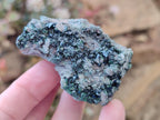 Natural Libethenite Crystals on Dolomite Matrix Specimens x 6 From Shituru, Congo - Toprock Gemstones and Minerals 