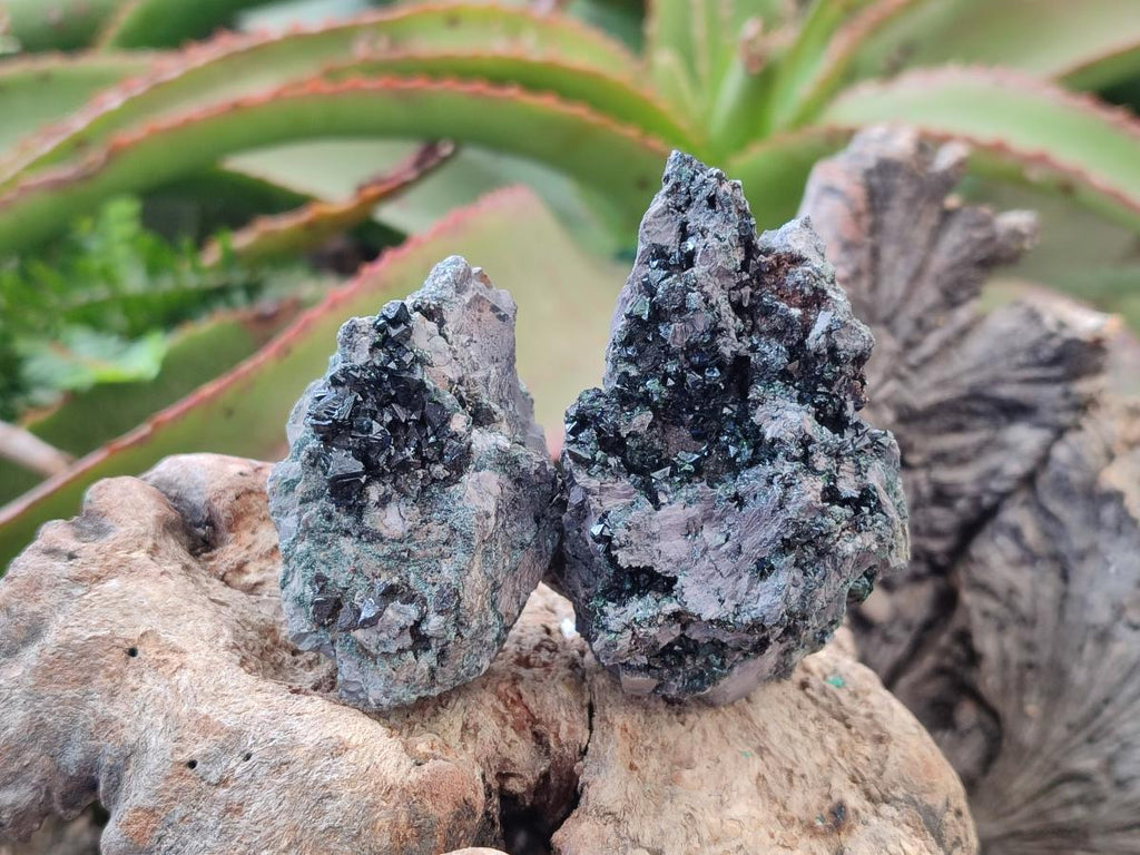 Natural Libethenite Crystals on Dolomite Matrix Specimens x 6 From Shituru, Congo - Toprock Gemstones and Minerals 