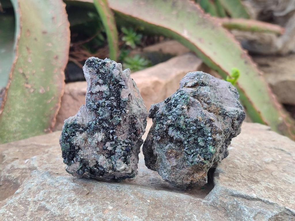 Natural Libethenite Crystals on Dolomite Matrix Specimens x 6 From Shituru, Congo - Toprock Gemstones and Minerals 