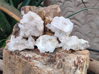 Natural Malagasy Quartz Clusters x 24 From Madagascar - Toprock Gemstones and Minerals 