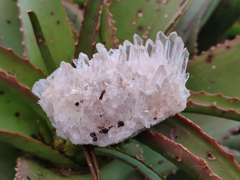 Natural Malagasy Quartz Clusters x 24 From Madagascar - Toprock Gemstones and Minerals 