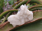 Natural Malagasy Quartz Clusters x 24 From Madagascar - Toprock Gemstones and Minerals 