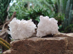 Natural Malagasy Quartz Clusters x 24 From Madagascar - Toprock Gemstones and Minerals 