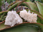 Natural Malagasy Quartz Clusters x 24 From Madagascar - Toprock Gemstones and Minerals 