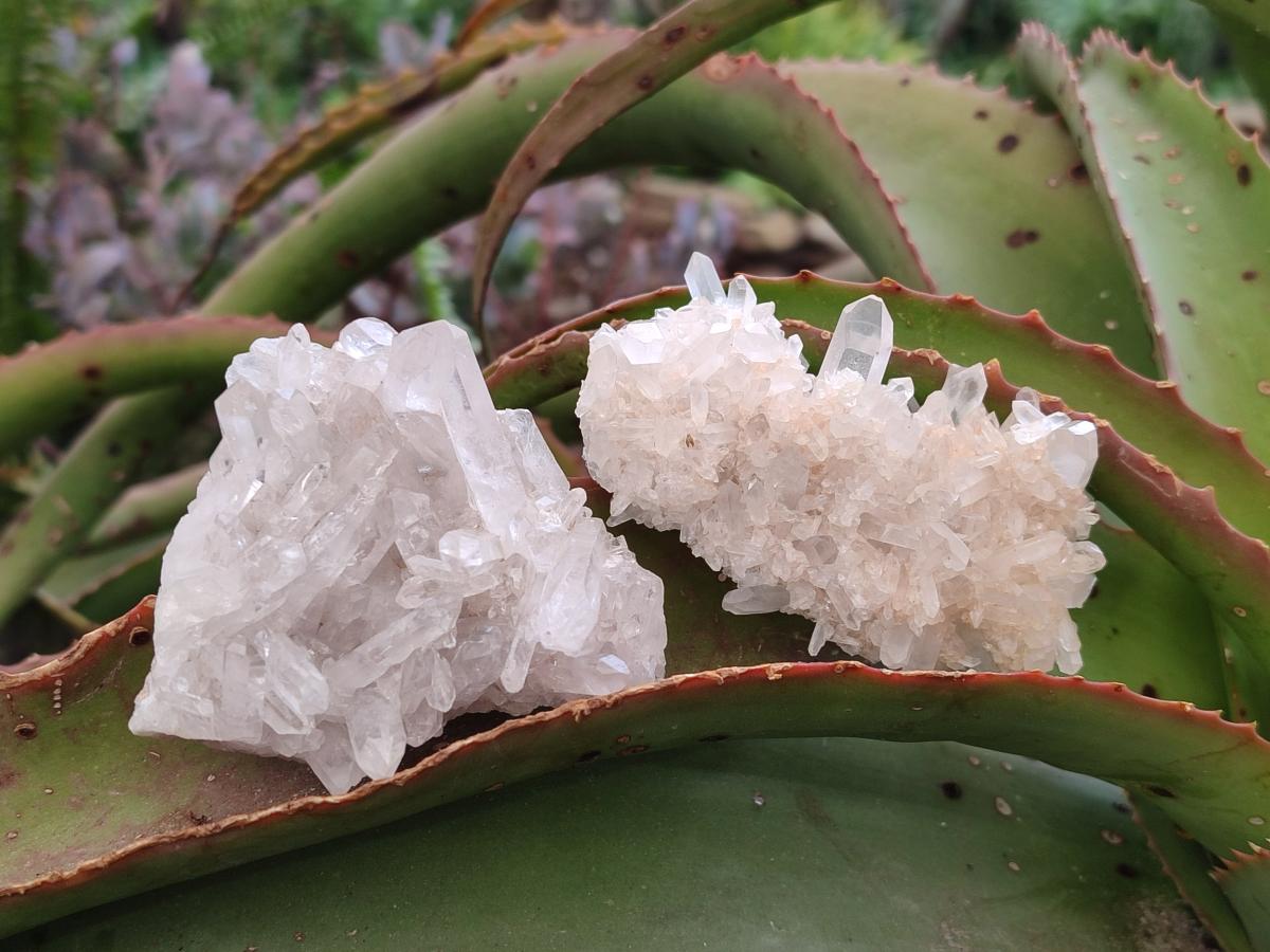 Natural Malagasy Quartz Clusters x 24 From Madagascar - Toprock Gemstones and Minerals 