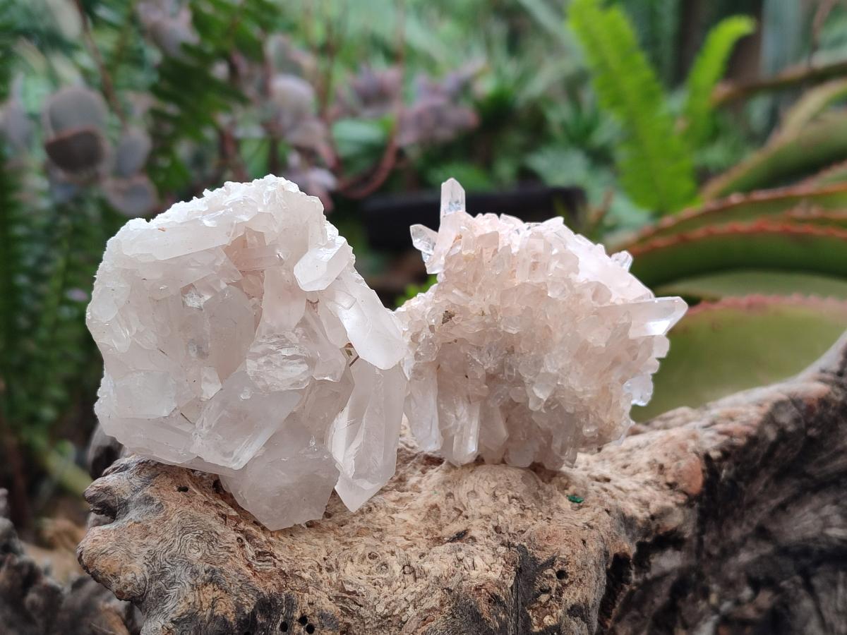 Natural Malagasy Quartz Clusters x 24 From Madagascar - Toprock Gemstones and Minerals 