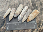 Natural Belemnite Rostrum Fossils x 2.37 Kg Lot From Madagascar - Toprock Gemstones and Minerals 