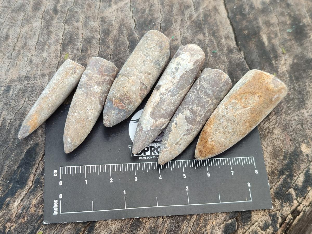 Natural Belemnite Rostrum Fossils x 2.37 Kg Lot From Madagascar - Toprock Gemstones and Minerals 