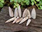 Natural Belemnite Rostrum Fossils x 2.37 Kg Lot From Madagascar - Toprock Gemstones and Minerals 