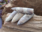 Natural Belemnite Rostrum Fossils x 2.37 Kg Lot From Madagascar - Toprock Gemstones and Minerals 