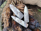 Natural Belemnite Rostrum Fossils x 2.37 Kg Lot From Madagascar - Toprock Gemstones and Minerals 