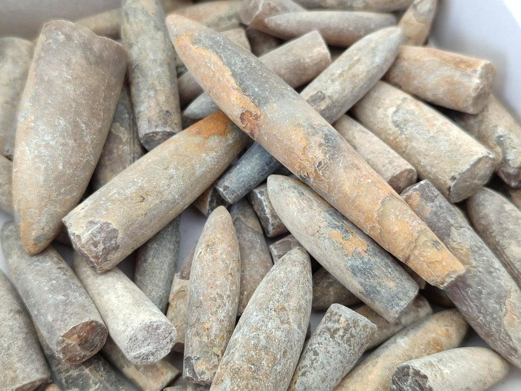 Natural Belemnite Rostrum Fossils x 2.37 Kg Lot From Madagascar - Toprock Gemstones and Minerals 