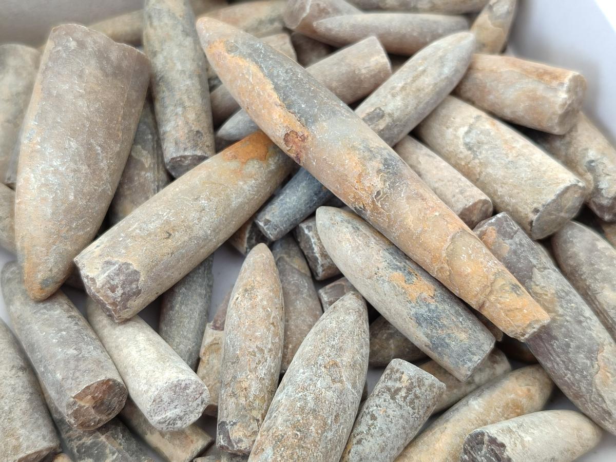 Natural Belemnite Rostrum Fossils x 2.37 Kg Lot From Madagascar - Toprock Gemstones and Minerals 