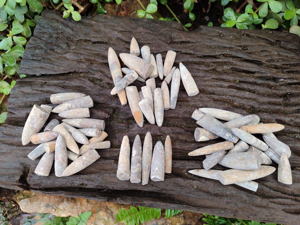 Natural Belemnite Rostrum Fossils x 2.37 Kg Lot From Madagascar - Toprock Gemstones and Minerals 