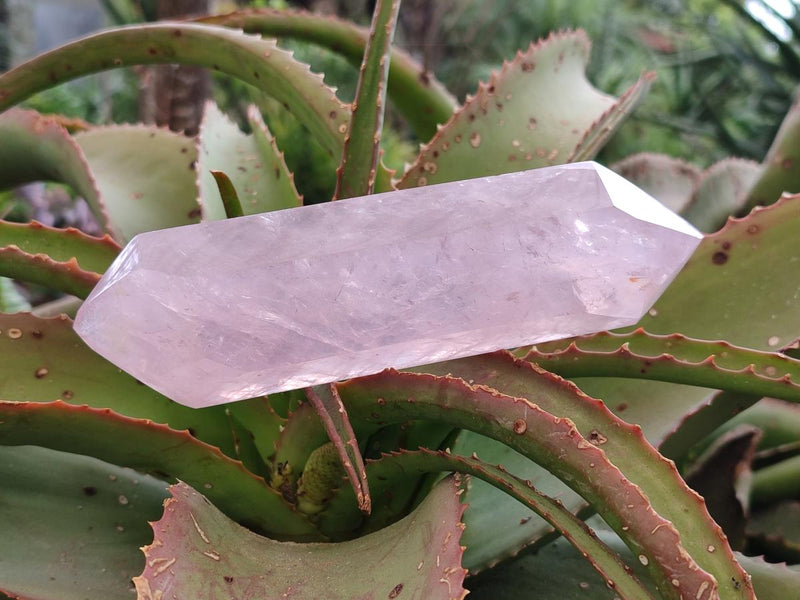 Polished Double Terminated Gemmy Rose Quartz Crystals x 6 From Madagascar - Toprock Gemstones and Minerals 