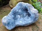 Natural Large Blue Celestite Geode Specimen x 1 From Sakoany, Madagascar - Toprock Gemstones and Minerals 