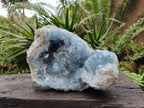 Natural Large Blue Celestite Geode Specimen x 1 From Sakoany, Madagascar - Toprock Gemstones and Minerals 