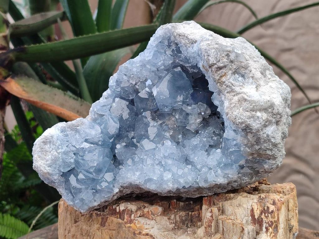 Natural Large Blue Celestite Geode Specimen x 1 From Sakoany, Madagascar - Toprock Gemstones and Minerals 