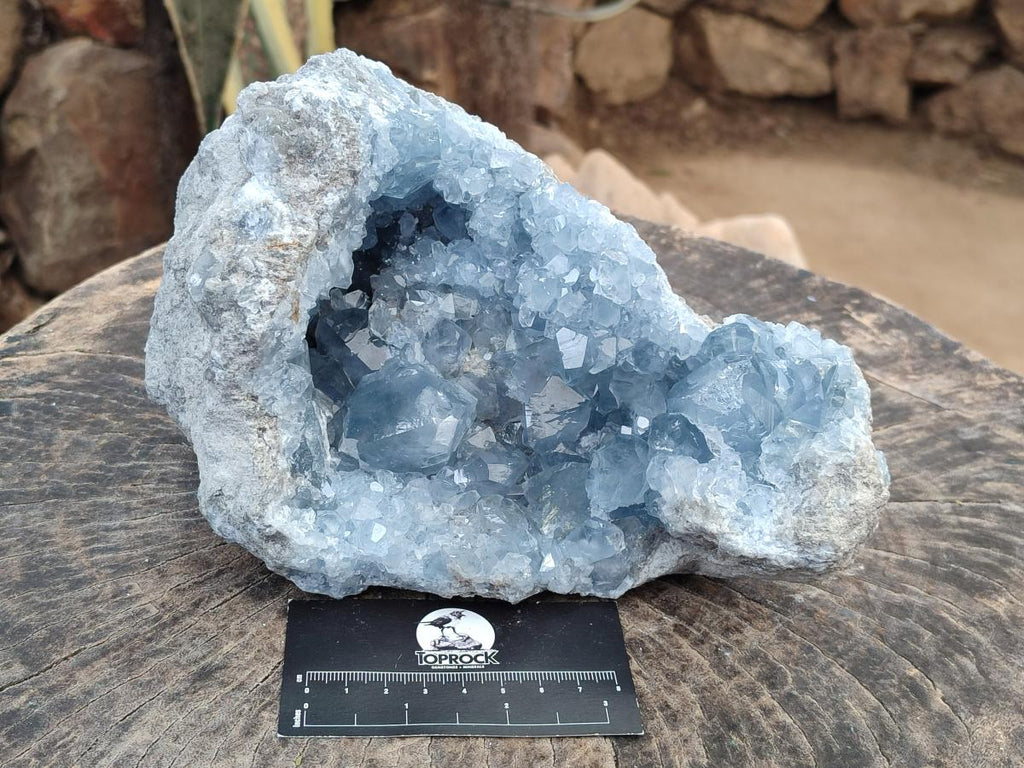 Natural Large Blue Celestite Geode Specimen x 1 From Sakoany, Madagascar - Toprock Gemstones and Minerals 