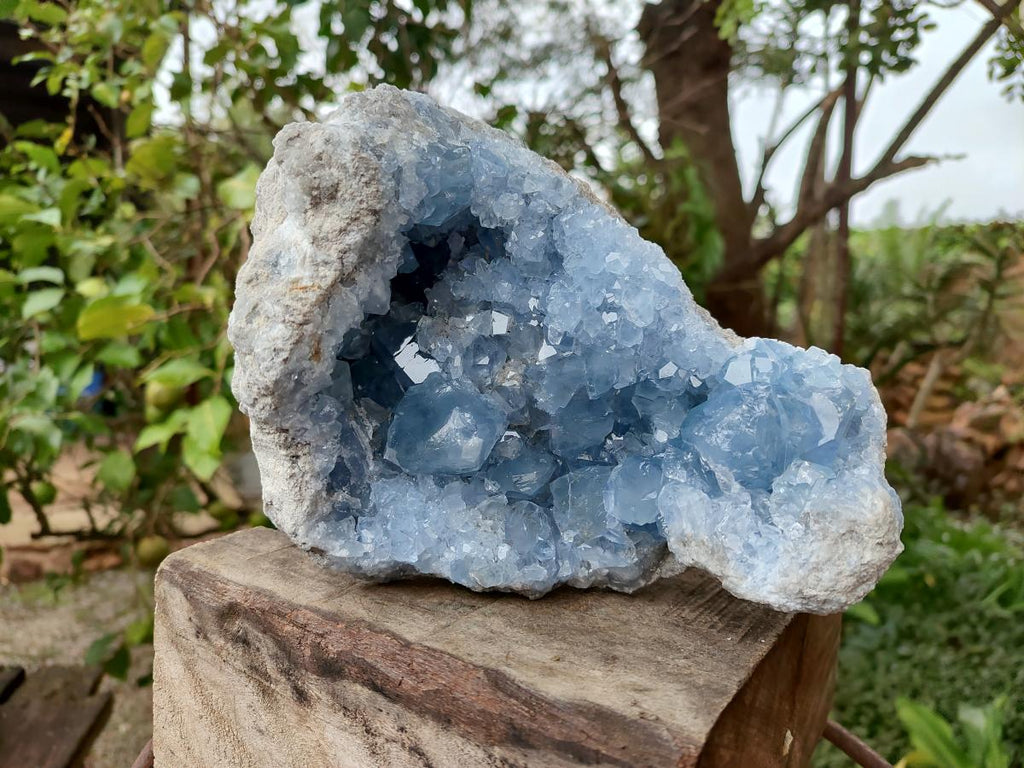 Natural Large Blue Celestite Geode Specimen x 1 From Sakoany, Madagascar - Toprock Gemstones and Minerals 