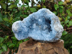 Natural Large Blue Celestite Geode Specimen x 1 From Sakoany, Madagascar - Toprock Gemstones and Minerals 