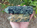 Polished Stromatolite Display Crystal Points x 3 From Katsepy, Madagascar - Toprock Gemstones and Minerals 