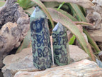 Polished Stromatolite Display Crystal Points x 3 From Katsepy, Madagascar - Toprock Gemstones and Minerals 