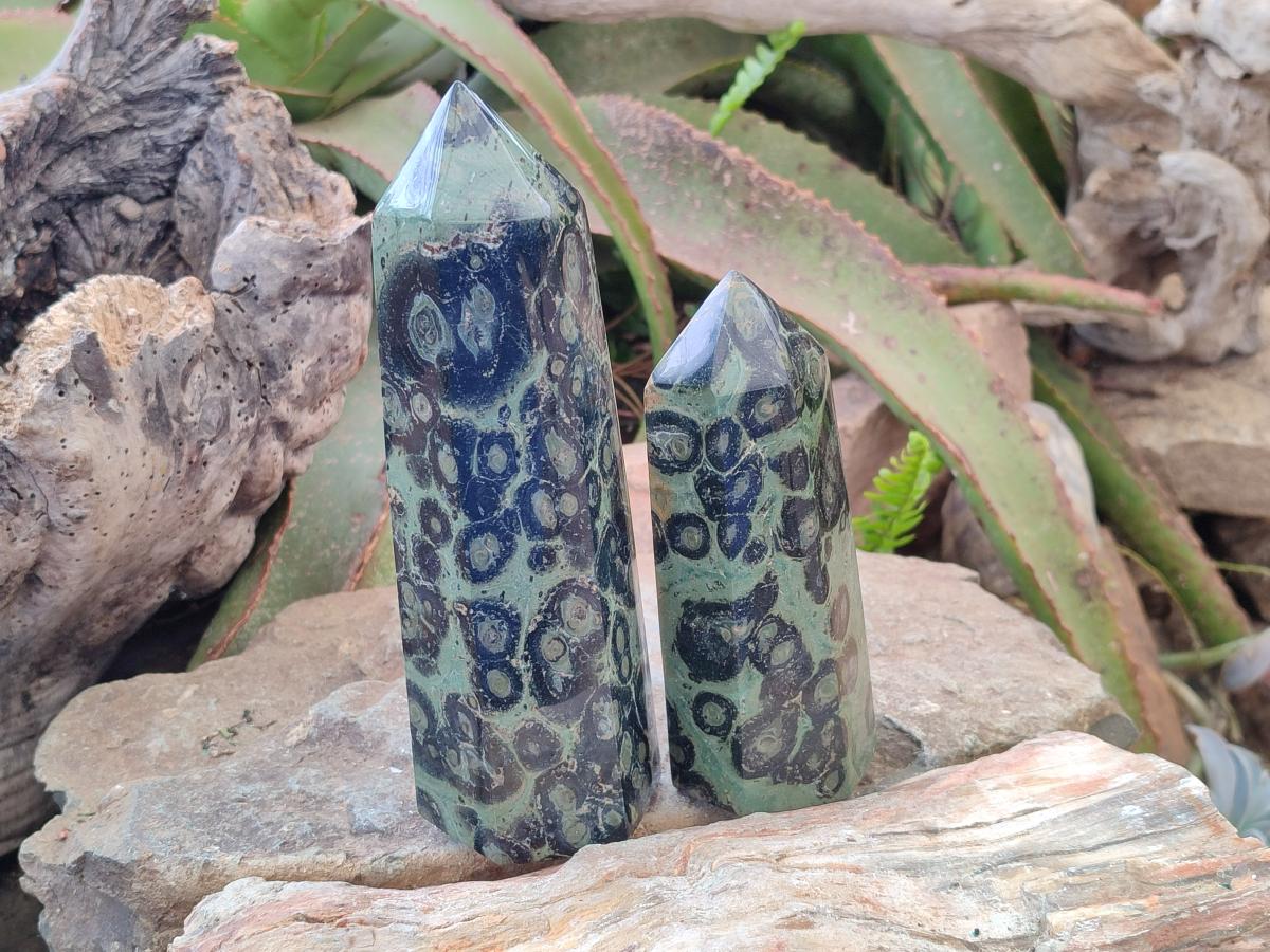 Polished Stromatolite Display Crystal Points x 3 From Katsepy, Madagascar - Toprock Gemstones and Minerals 
