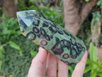 Polished Stromatolite Display Crystal Points x 3 From Katsepy, Madagascar - Toprock Gemstones and Minerals 