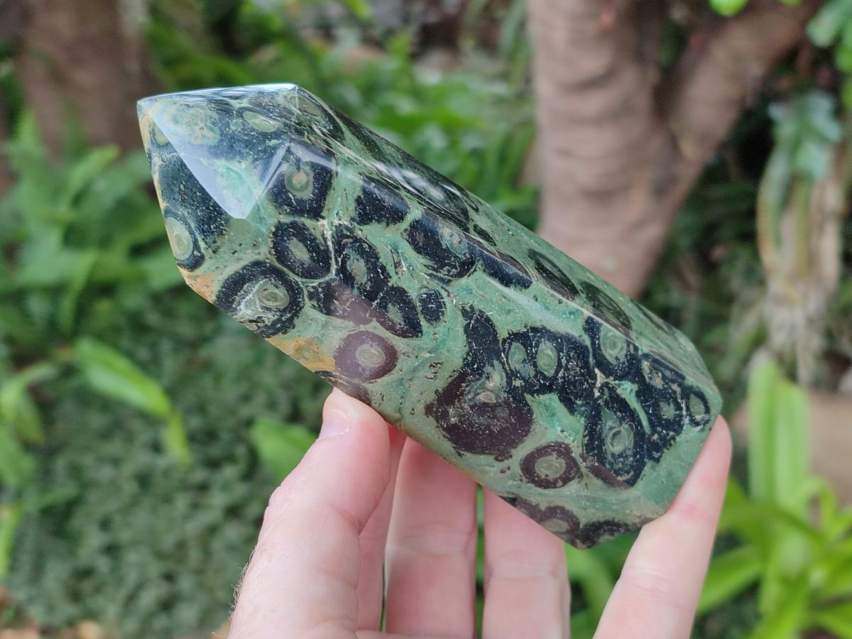 Polished Stromatolite Display Crystal Points x 3 From Katsepy, Madagascar - Toprock Gemstones and Minerals 