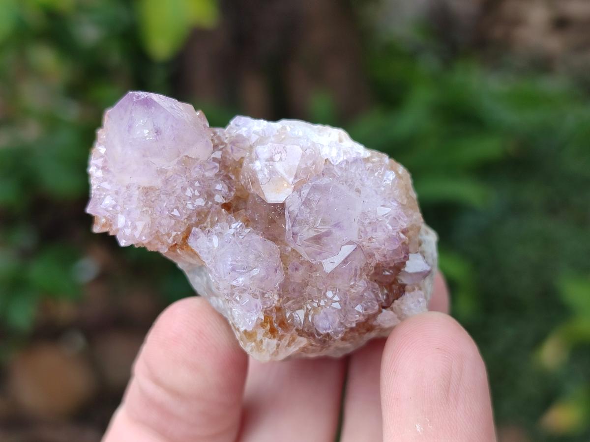 Natural Spirit Amethyst Clusters x 20 From Boekenhouthoek, South Africa - Toprock Gemstones and Minerals 