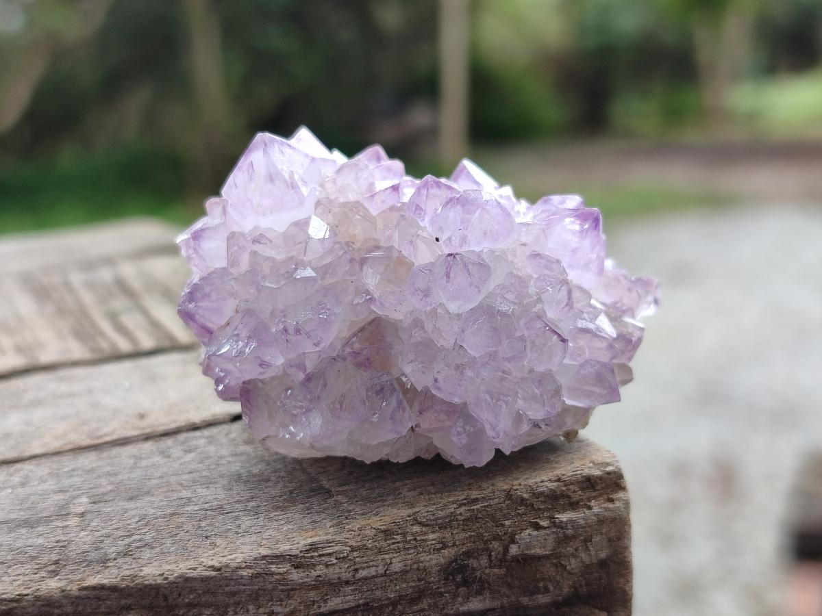 Natural Spirit Amethyst Clusters x 20 From Boekenhouthoek, South Africa - Toprock Gemstones and Minerals 