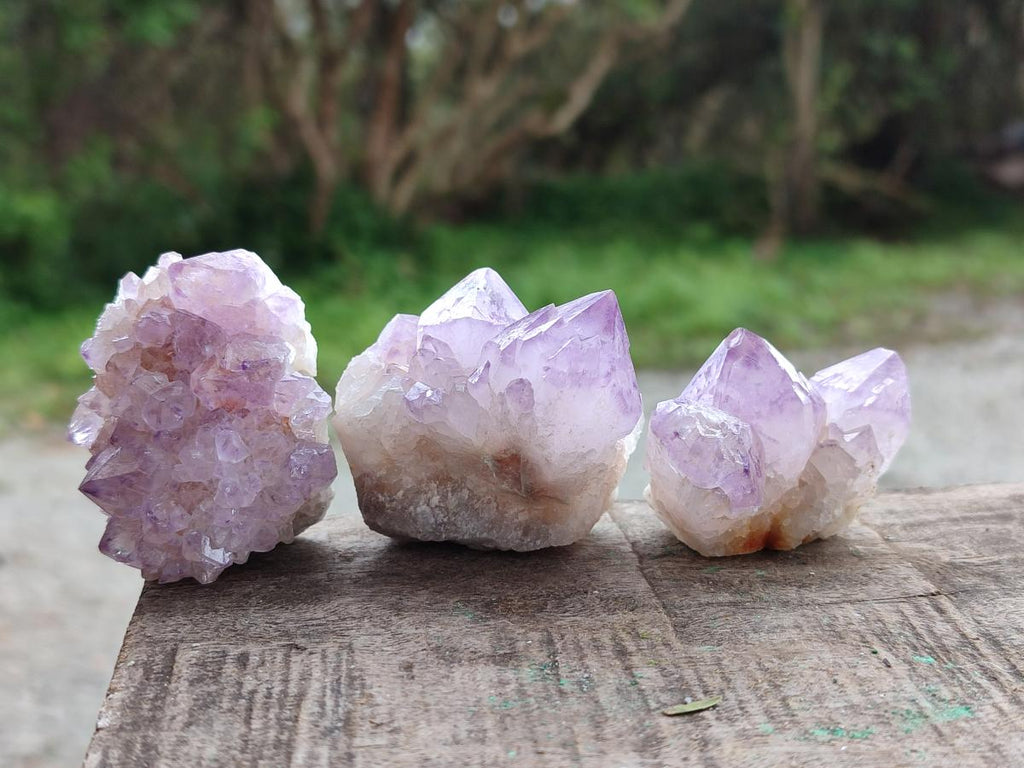 Natural Spirit Amethyst Clusters x 20 From Boekenhouthoek, South Africa - Toprock Gemstones and Minerals 