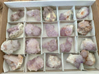 Natural Spirit Amethyst Clusters x 20 From Boekenhouthoek, South Africa - Toprock Gemstones and Minerals 