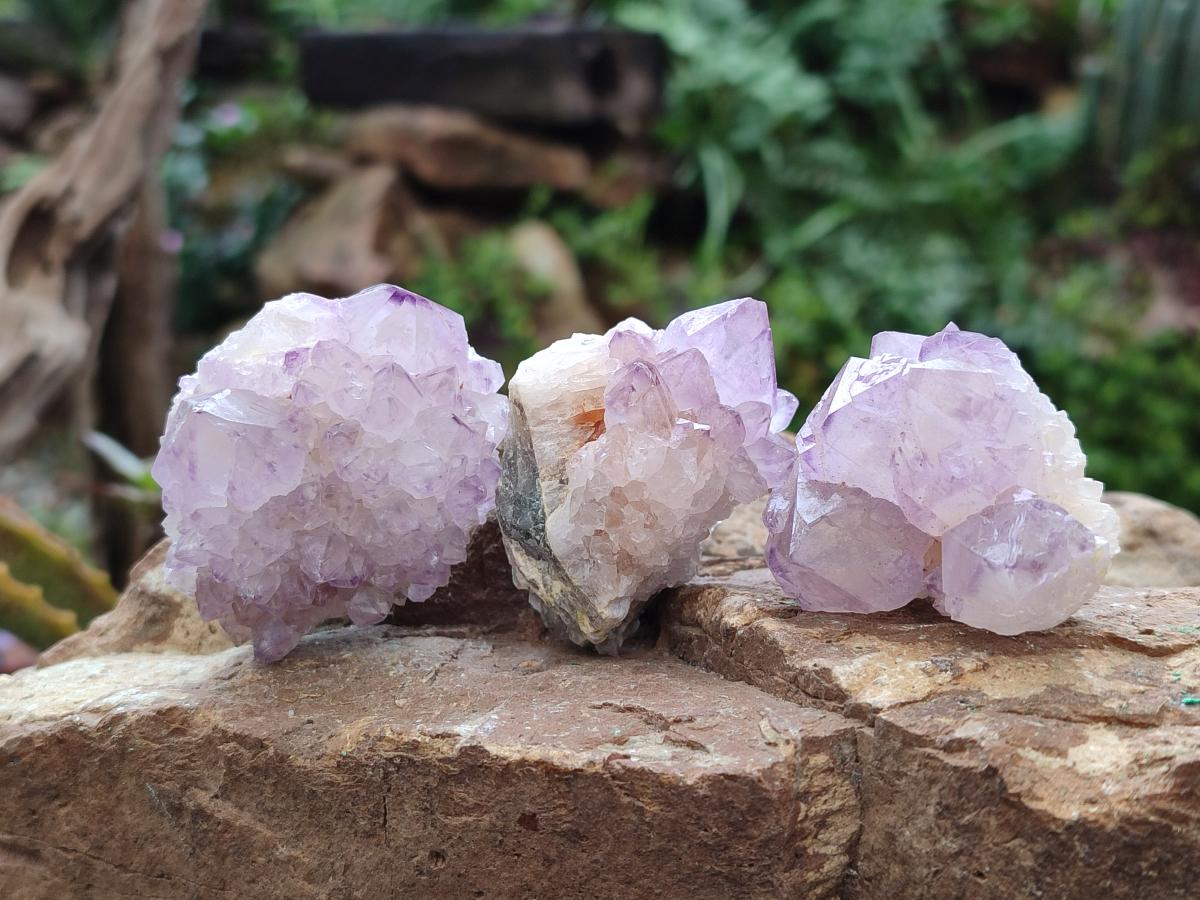 Natural Spirit Amethyst Clusters x 20 From Boekenhouthoek, South Africa - Toprock Gemstones and Minerals 