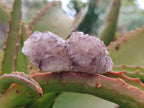 Natural Spirit Amethyst Clusters x 20 From Boekenhouthoek, South Africa - Toprock Gemstones and Minerals 