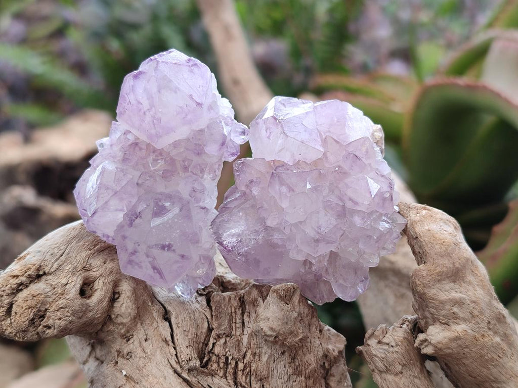 Natural Spirit Amethyst Clusters x 20 From Boekenhouthoek, South Africa - Toprock Gemstones and Minerals 