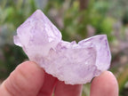 Natural Spirit Amethyst Clusters x 20 From Boekenhouthoek, South Africa - Toprock Gemstones and Minerals 