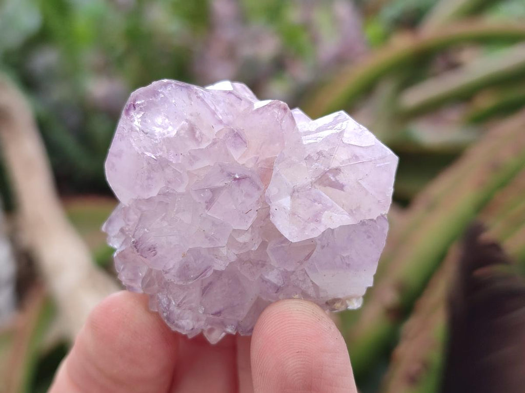 Natural Spirit Amethyst Clusters x 20 From Boekenhouthoek, South Africa - Toprock Gemstones and Minerals 
