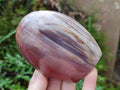 Polished Red Podocarpus Petrified Wood Standing Display Pieces x 4 From Mahajanga, Madagascar - Toprock Gemstones and Minerals 