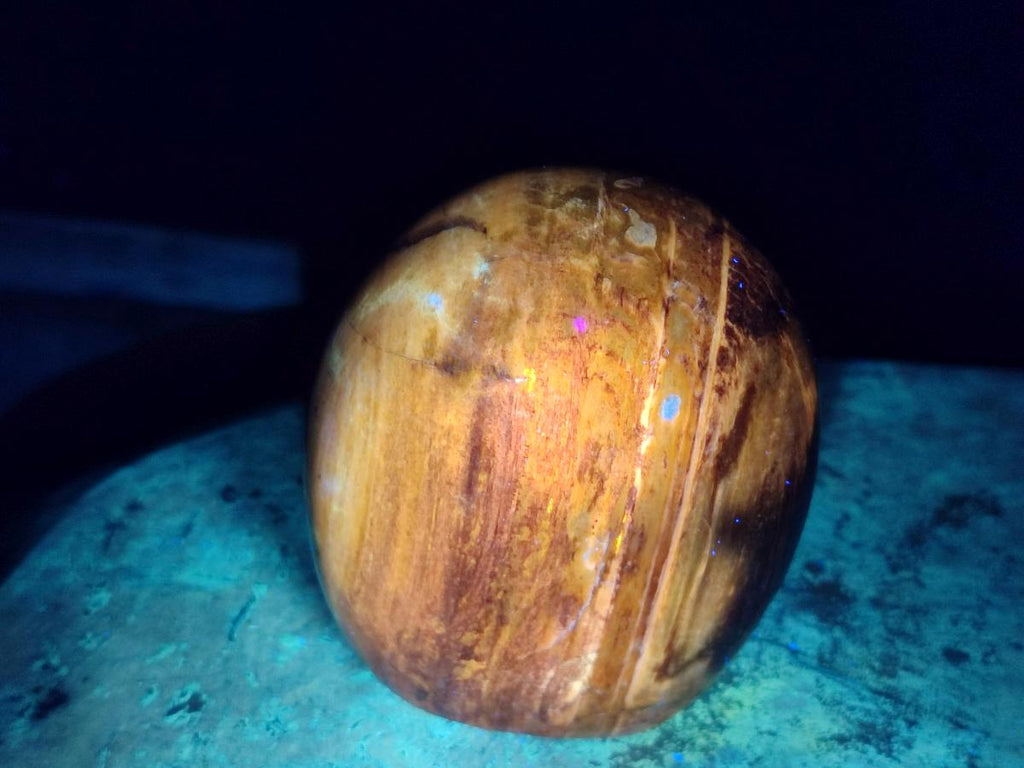 Polished Red Podocarpus Petrified Wood Standing Display Pieces x 4 From Mahajanga, Madagascar - Toprock Gemstones and Minerals 