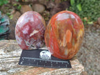 Polished Red Podocarpus Petrified Wood Standing Display Pieces x 4 From Mahajanga, Madagascar - Toprock Gemstones and Minerals 