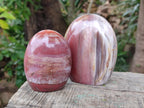 Polished Red Podocarpus Petrified Wood Standing Display Pieces x 4 From Mahajanga, Madagascar - Toprock Gemstones and Minerals 