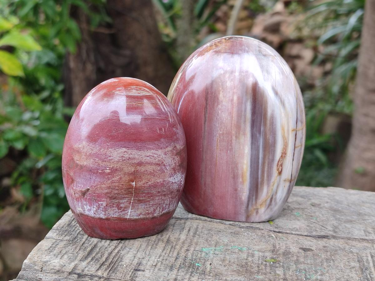 Polished Red Podocarpus Petrified Wood Standing Display Pieces x 4 From Mahajanga, Madagascar - Toprock Gemstones and Minerals 