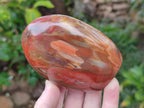 Polished Red Podocarpus Petrified Wood Standing Display Pieces x 4 From Mahajanga, Madagascar - Toprock Gemstones and Minerals 