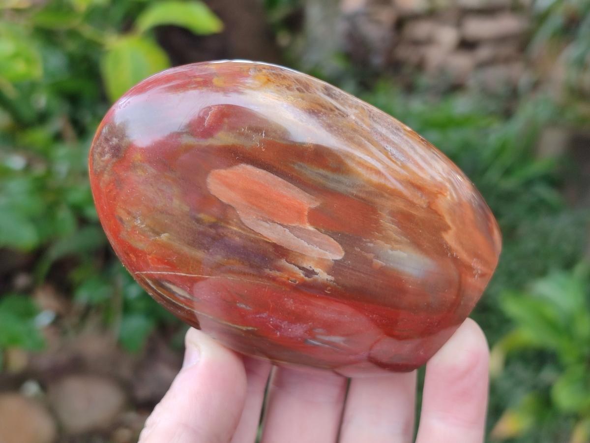 Polished Red Podocarpus Petrified Wood Standing Display Pieces x 4 From Mahajanga, Madagascar - Toprock Gemstones and Minerals 